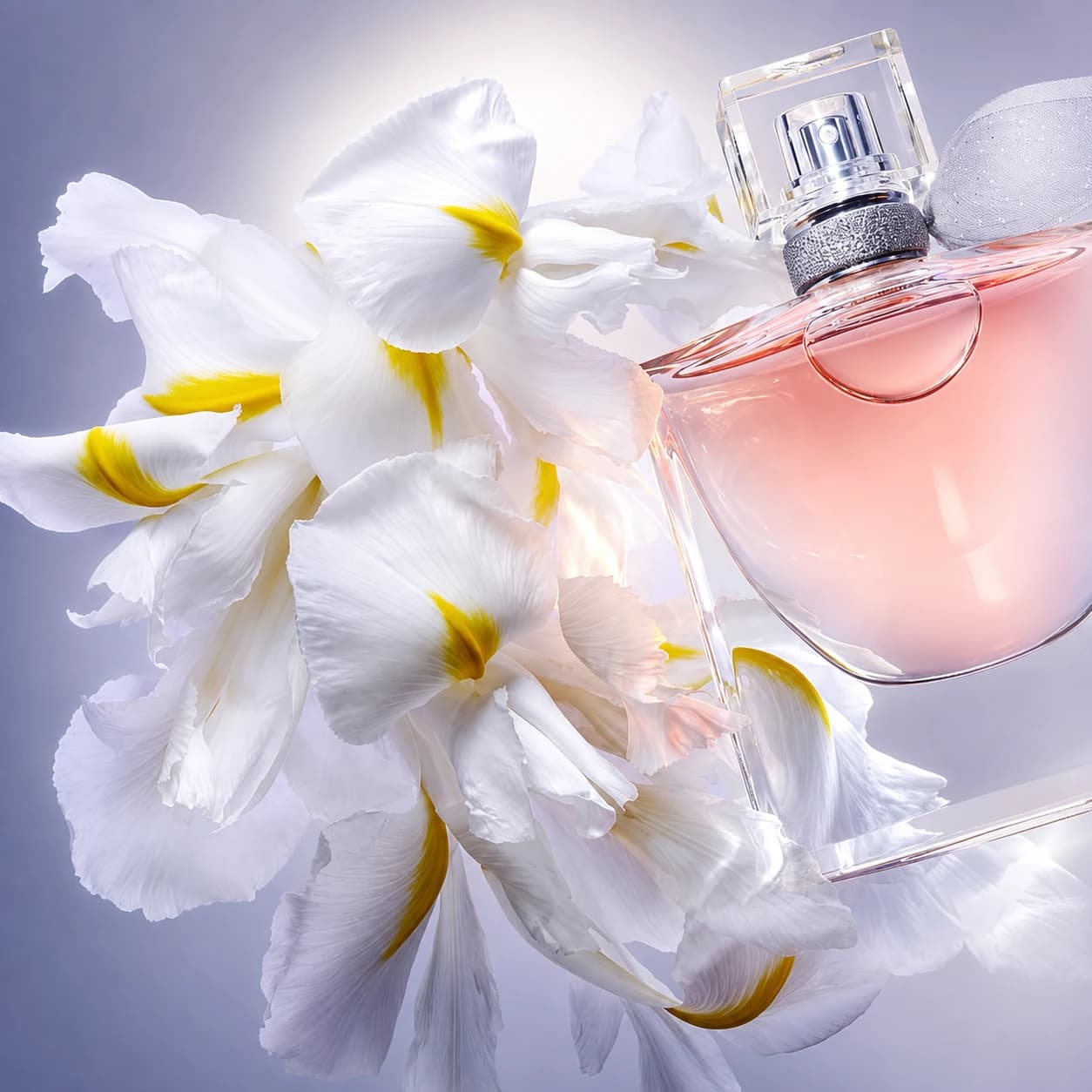 Pink Perfume & Iris